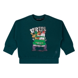 flinq 3111450 W10532 baby jongens Baby jongens sweater Groen donker