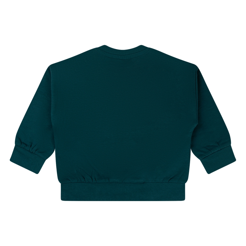 flinq 3111450 W10532 sweaters Groen donker