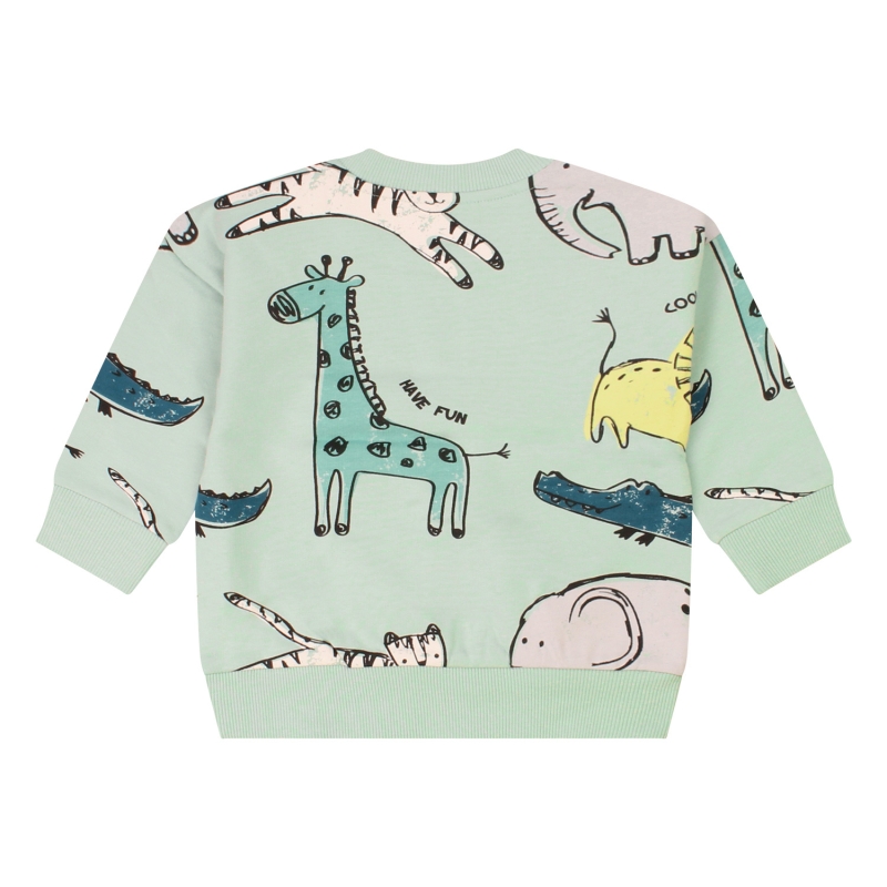 flinq Karel Z10412 sweaters Groen licht