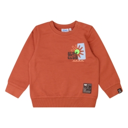 flinq Kean Z10406 baby jongens Baby jongens sweater Brique