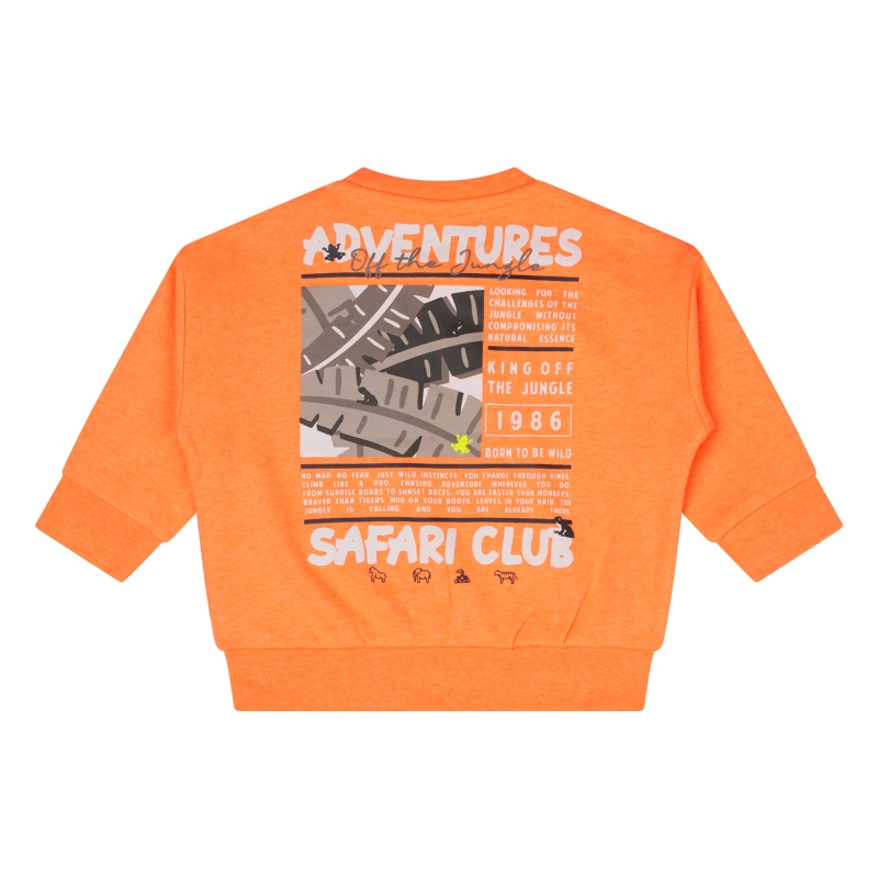 flinq 3211402 Z10289 sweaters Oranje