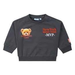 flinq 3311402 W20345 baby jongens sweater Antra