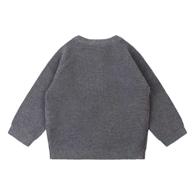 flinq newborn Daan W20394 pullovers Blauw ijs