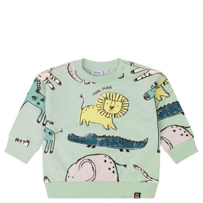 flinq flinq Karel Z10412 Groen harbor gray flinq Karel Z10412 Baby jongens sweater Groen bestel je online bij www.bertusmode.nl/