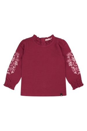 Bordeaux rood 