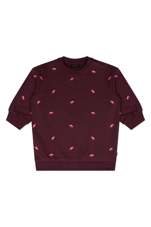 Bordeaux rood 