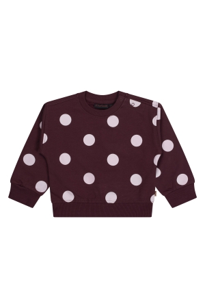 Bordeaux rood 