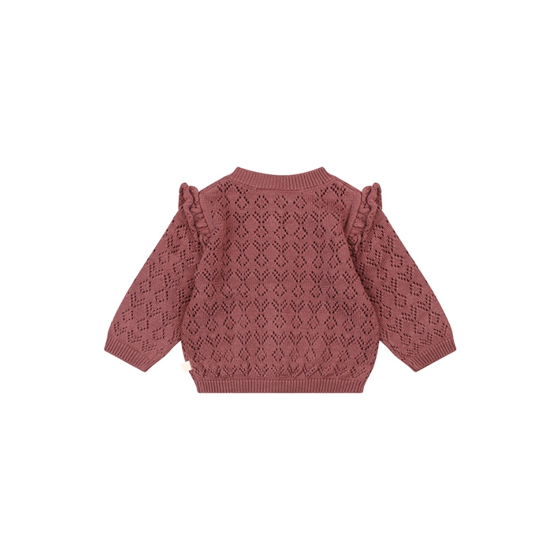 Bakkaboe Newborn 3316301 W20300 vesten Paars donker