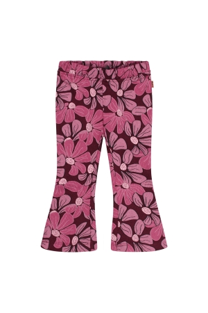 Bordeaux rood 